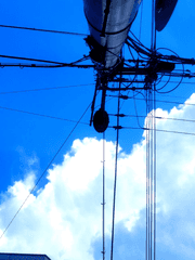 [순훈] 숲과 바다