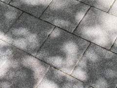 애매함과 확신 사이 - 상편