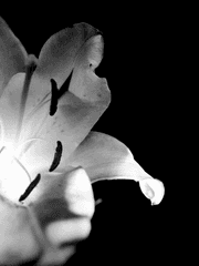 하천커_하이바라 세이야