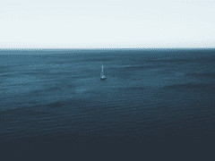 [100원] 충의 정의