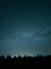 하픽남고 살인사건