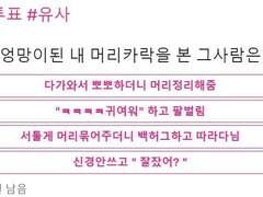 문스독 유사투표 드림