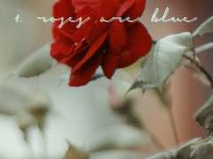 [채꿍] 장미, 월담하다(一)