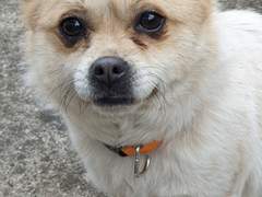 배씨표류기-[프롤로그]