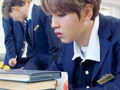 겨울에 피는 해바라기