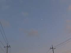 술을 먹는 이유는?