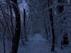 흰 대리석으로 부터