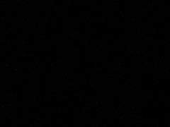 사랑을 날려보내요