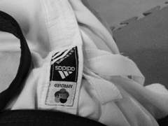 [우성태섭] who do you love