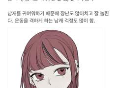 위해 님 커미션