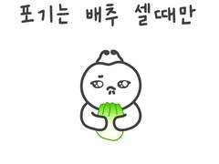 포기는 배추 셀때만
