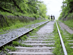 라벤더 데이 - 방랑