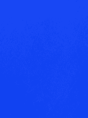 끝이 정해진 오늘을 함께 달려나가