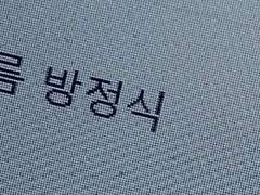 도솔 女 202 애니멀부