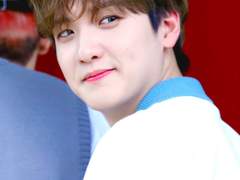 녜녜엽엽조조광광