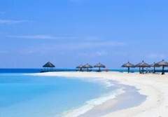 청산특별고등학교