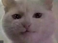 엔시티 나페스 추천 겸 기록 4