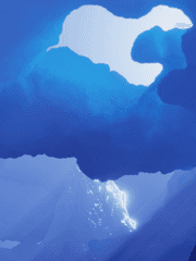 한여름의 대스타. 그리고... 애옭?