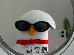 가이드 폼 미쳤다 5