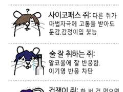 회사설 연성정리