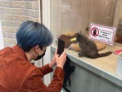 이제노 쌍둥이 SSUL 3