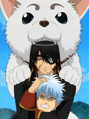 은혼 드림 카피페