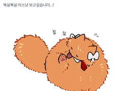 유료리퀘 했던거