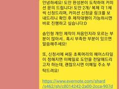 베베솜님 (@ evebebesom) 인형 개인 제작 커미션 불호 후기 및 공론화