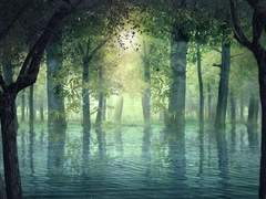 아네모네의 꽃말은 두 개