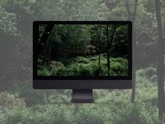 3. 진한 녹빛 숲 배경화면