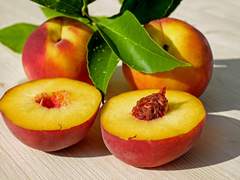 마치 된 것 같아 손오공