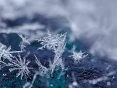 [시목동재] Charcoal, Gray, Silver, White