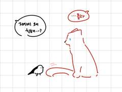 치즈루 드림주관 로그