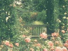 봄은 찬란하고도 쓸쓸해.