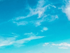 쨍한 하늘 만큼 빛나는 것도 없던가.