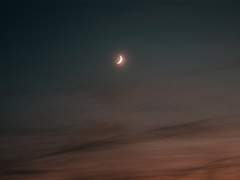 통금 9시의 윤댑렐라