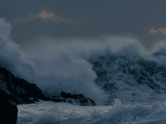 가이드공×에스퍼수