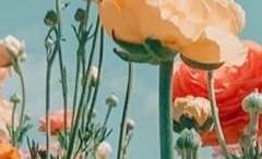 성연휘 | XY | 19 | 4반 | 오케스트라부