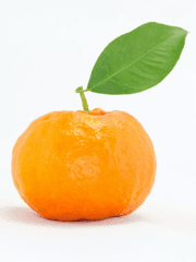 [미]친상황 [연]속 [시]뮬레이션