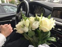 과몰입 유발 실사 사진 모음