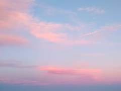 [코하이코] 열 번째 여름