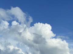 첫사랑 뭐시기, 지구의 자전축 어쩌구.