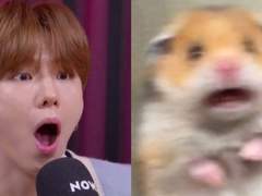 [몬엑 문답] 친오빠와 남친이 친구면 생기는 일