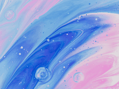 장르 안내서 + 신청 양식