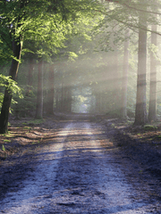 재활용 썰 및 글 모음