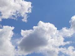 새파란 하늘을 봐.