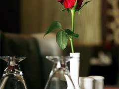 여우, 어린 왕자 그리고 그의 붉은 장미