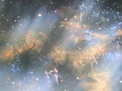 천사님을 모십니다.