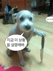 어떤용사의금서목록