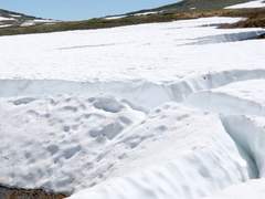 아이야, 밖이 소란스럽구나.